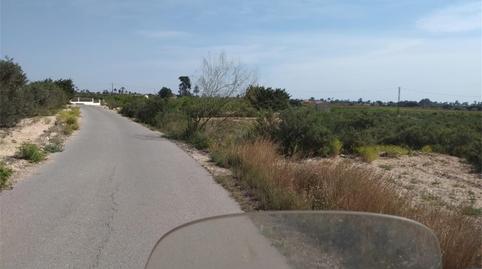 Finca rústica en venta en Partida Algoda, 1009a, La Algoda - Matola - Llano de San José, Elche / Elx - imagen 5 Foto 5 de Finca rústica en venta en Partida Algoda, 1009a, La Algoda - Matola - Llano de San José, Elche / Elx