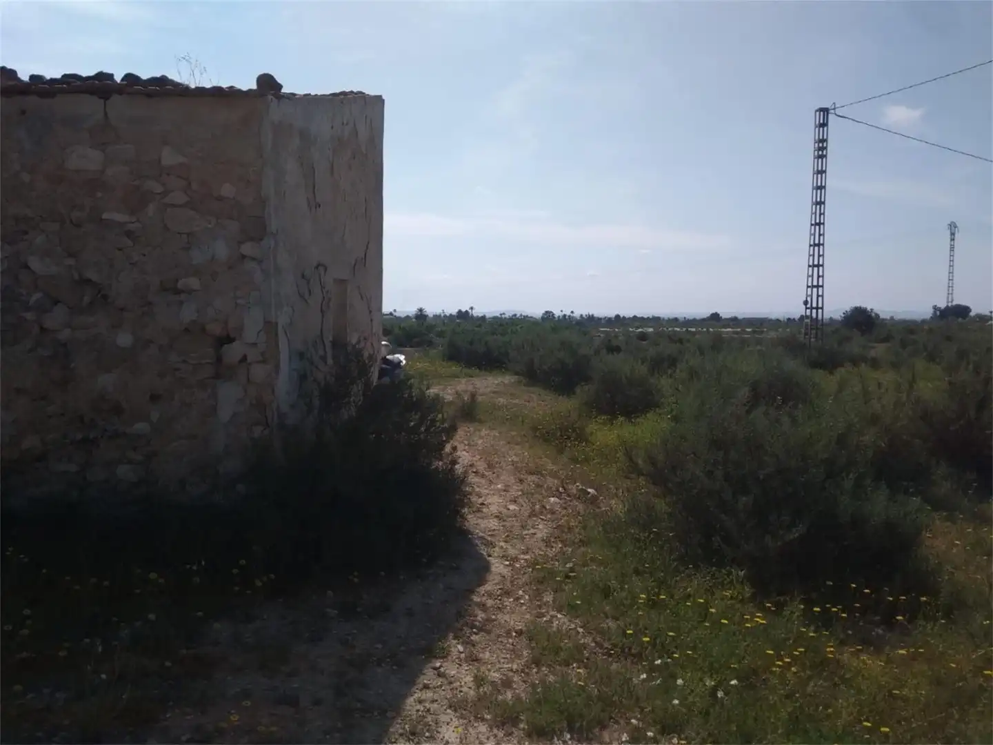 Finca rústica en venta en Partida Algoda, La Algoda - Matola - Llano de San José Finca rústica en venta en Elche / Elx