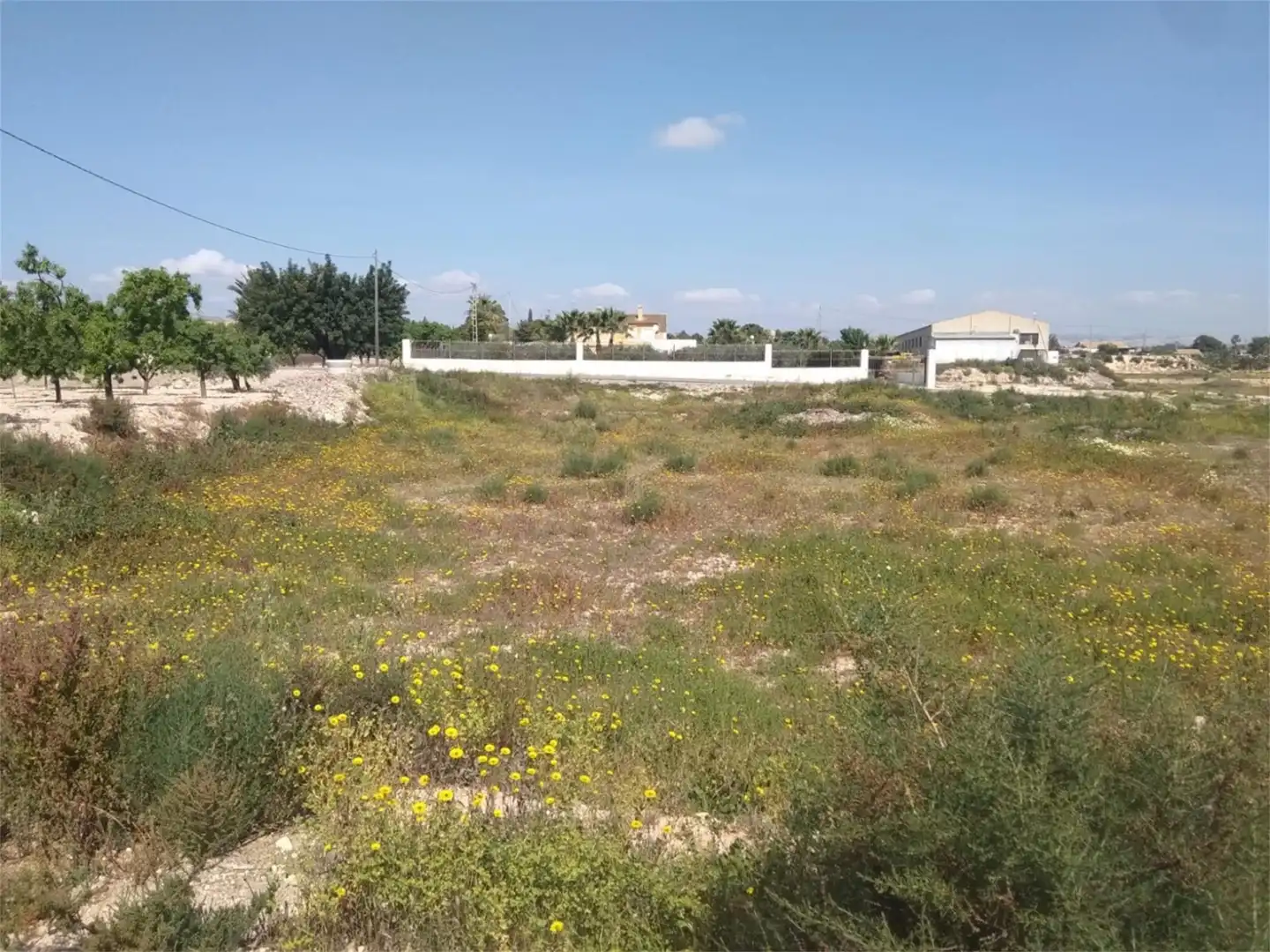 Finca rústica en venta en Partida Algoda, La Algoda - Matola - Llano de San José Finca rústica en venta en Elche / Elx