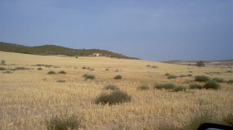 Foto 2 de Terreny en venda a Cm-332, 2, Casas de Juan Núñez, Albacete