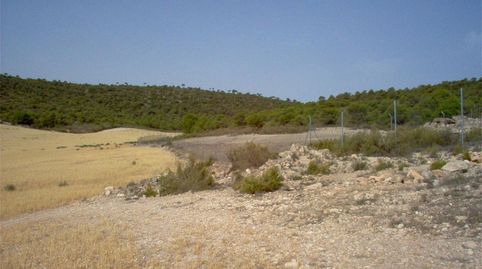 Foto 4 de Terreny en venda a Cm-332, 2, Casas de Juan Núñez, Albacete