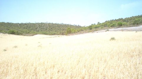 Foto 5 de Terreny en venda a Cm-332, 2, Casas de Juan Núñez, Albacete