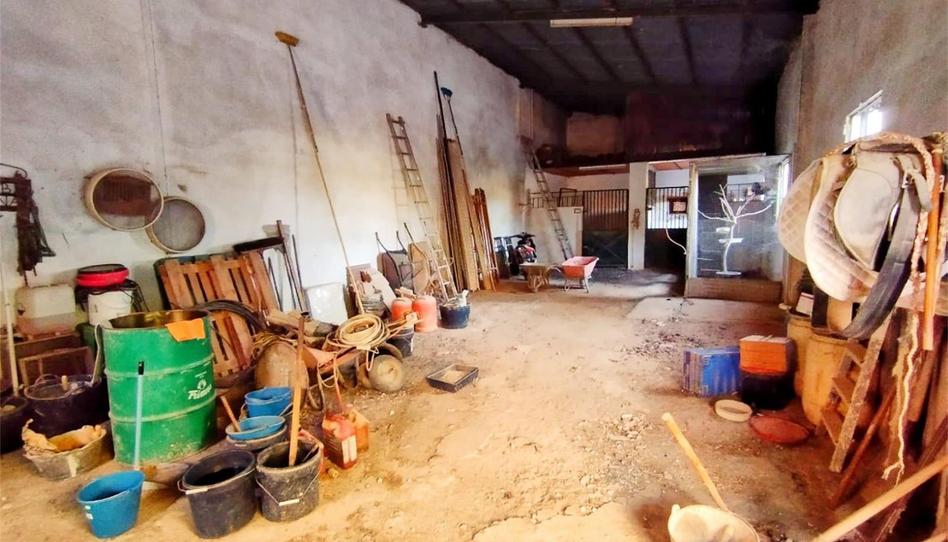 Foto 1 de Terreno en venta en Calle Maestra Maribel Hidalgo, 8, La Luisiana, Sevilla