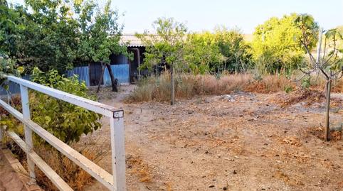Foto 5 de Terreno en venta en Calle Maestra Maribel Hidalgo, 8, La Luisiana, Sevilla