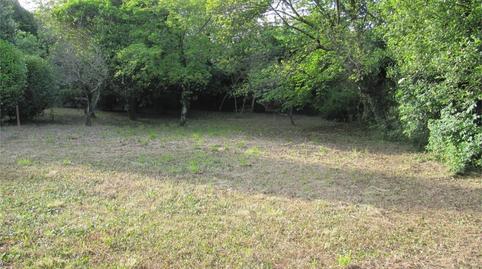 Casa o xalet en venda a Estrada de San Pedro, 224, A Malata - Catabois - Ciudad Jardín, A Coruña - imatge 5 Foto 5 de Casa o xalet en venda a Estrada de San Pedro, 224, A Malata - Catabois - Ciudad Jardín, A Coruña