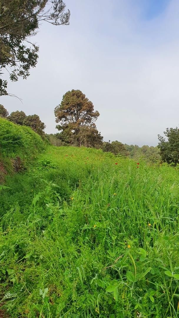 Country house for sale in La Guancha