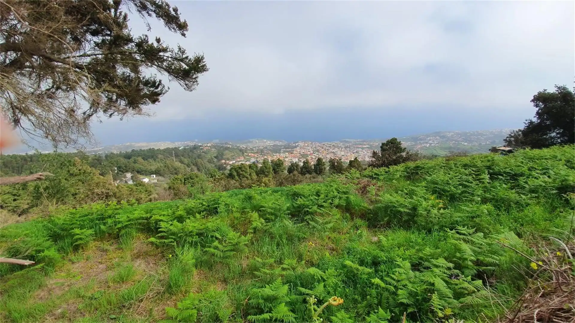 Exterior view of Country homes for sale in La Guancha