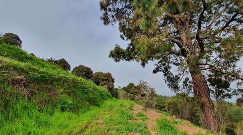 Foto 3 von Country house zum Verkauf in Calle Solitica, 1, La Guancha, Santa Cruz de Tenerife