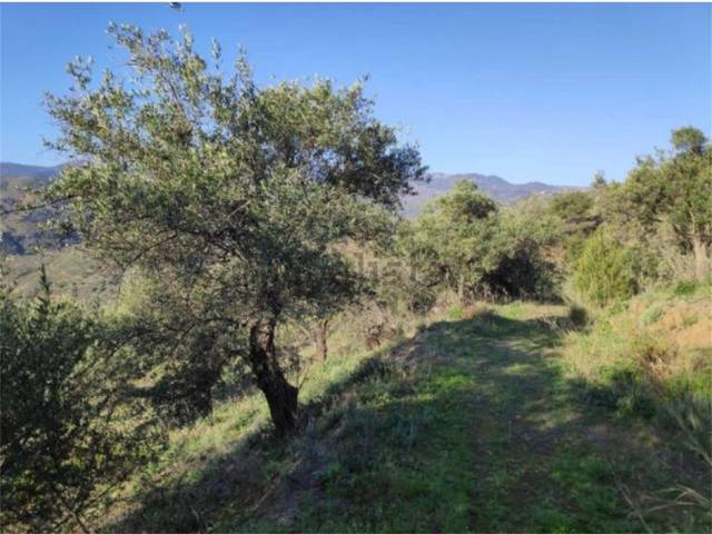 Terreno en Venta en Partida Cara del Rio, 2 en Alozaina