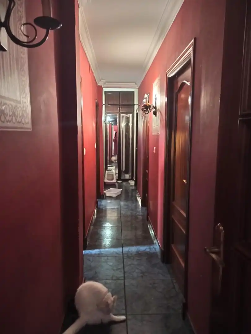 Flat for sale in Plaza Doctor Juan Planelles Ripoll, 2, La Plata Flat for sale in Jerez de la Frontera with Air Conditioner, Storage room and Furnished