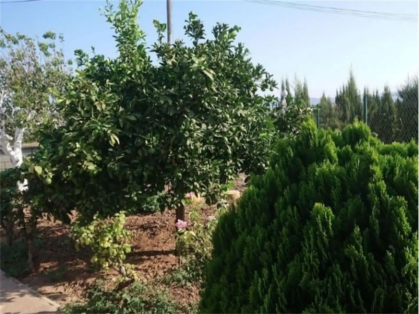 Houses for sale in Carretera del Soto, 39, Encinarejo de Córdoba Houses for sale in Córdoba with Air Conditioner, Heating and Private garden