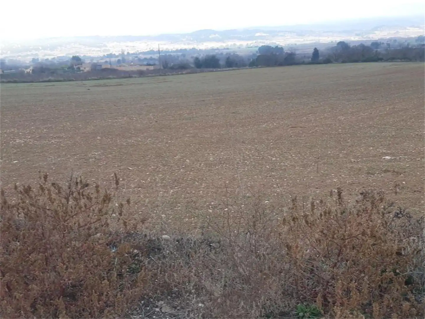 Finca rústica en venta en Carrer de Cabra, 48, Barberà de la Conca Finca rústica en venta en Barberà de la Conca