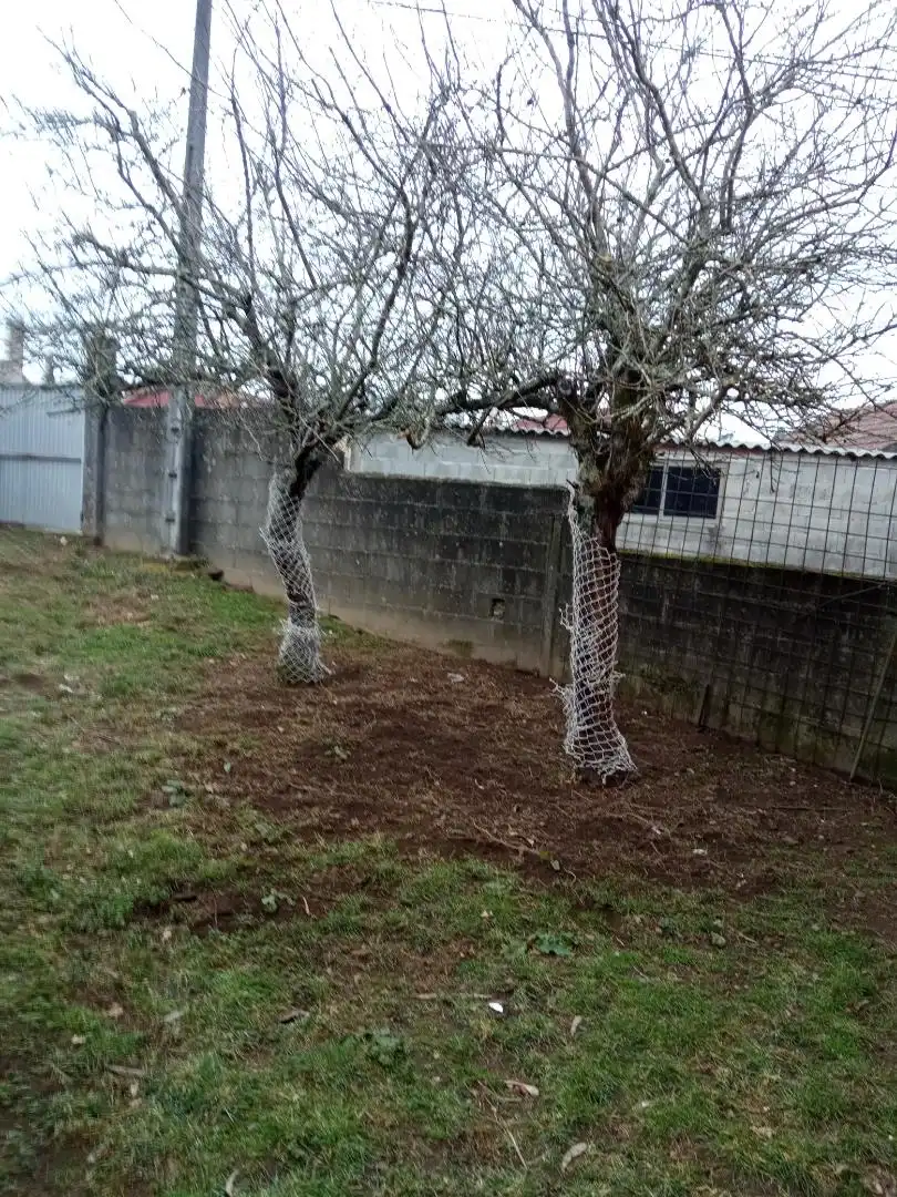 Jardín de Planta baja en venta en Mos