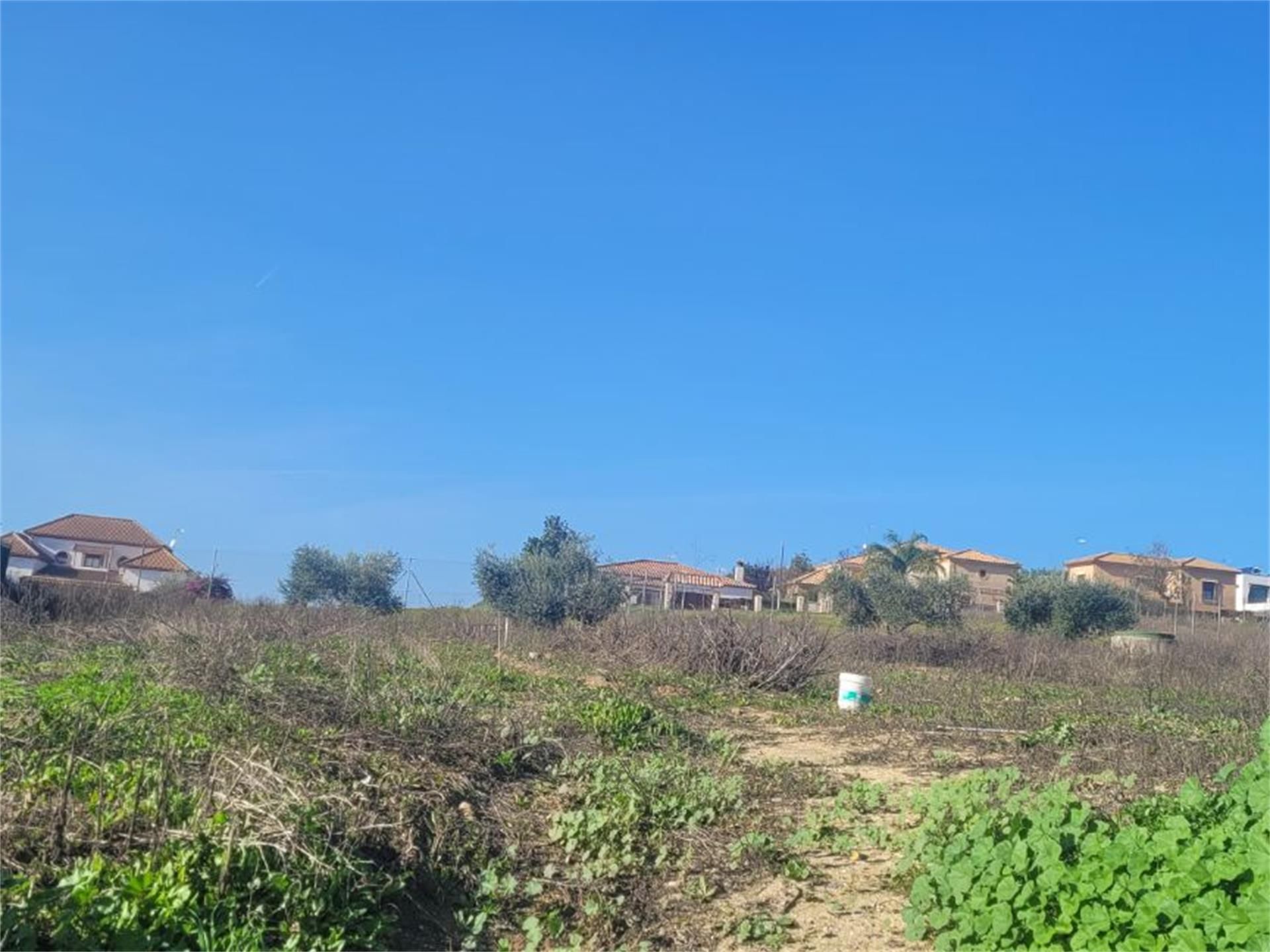 Grundstücke zum verkauf in Guadalcázar