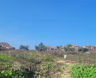 Land for sale in Guadalcázar