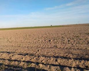 Finca rústica en venda en Don Benito