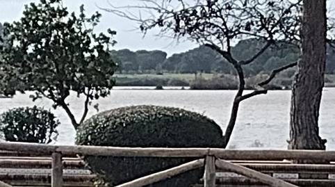 Foto 2 de Estudi en venda a Calle Los Varales, 57, El Rocío, Huelva