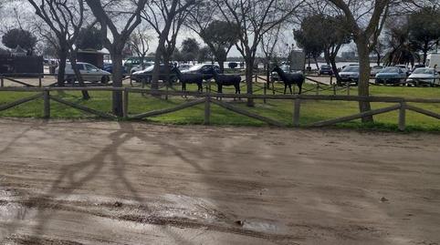 Foto 4 de Estudi en venda a Calle Los Varales, 57, El Rocío, Huelva