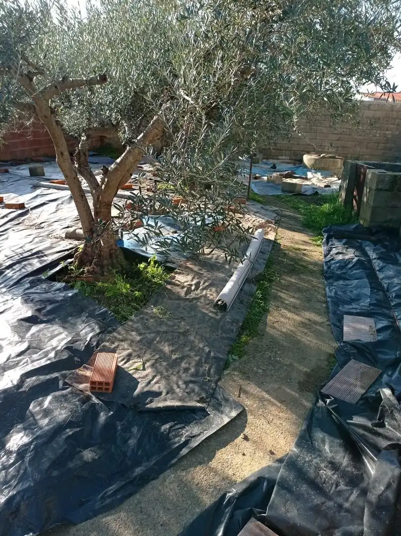 Garden of Ground floor for sale in Zorita