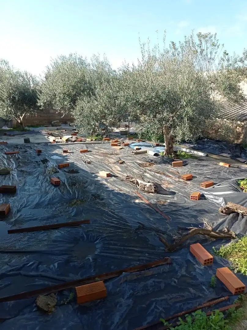 Garden of Ground floor for sale in Zorita