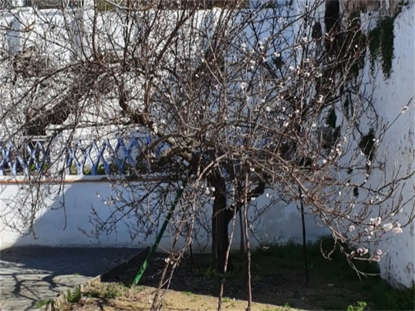 Casa adosada en venda a Calle Pedro Gómez, 6, Rute Jardí de Casa adosada en venda en Rute amb Aire condicionat, Calefacció i Jardí privat