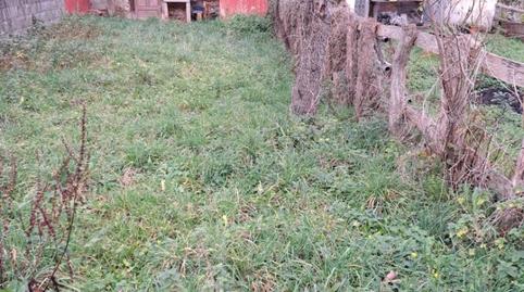 Foto 4 de Casa adosada en venta en Caso, Asturias