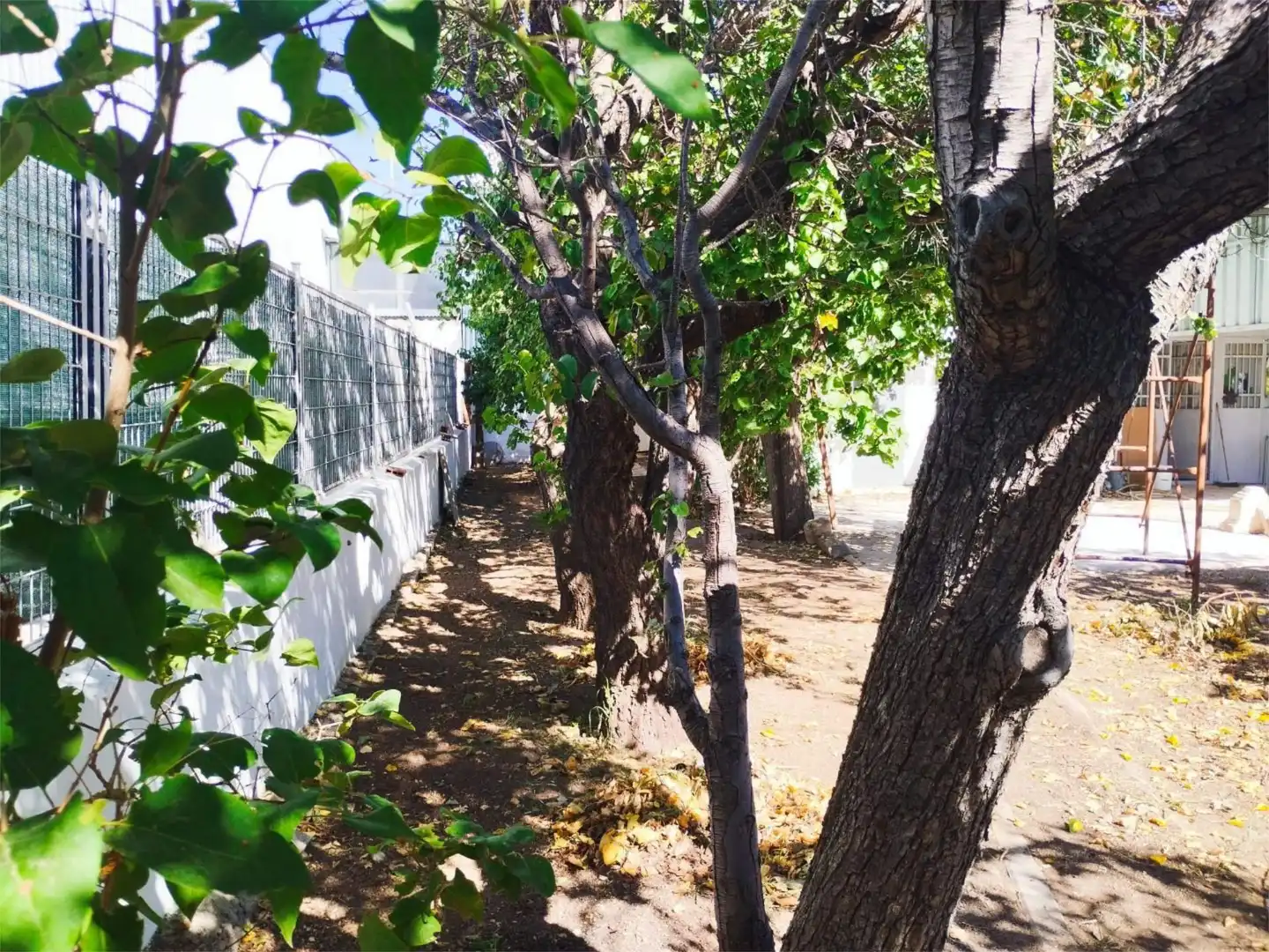 Garten von Fabrik Grundstücke zum Verkauf in Paracuellos de Jarama