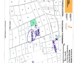 Non-constructible Land for sale in Pals