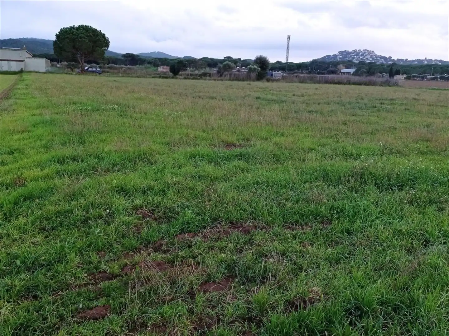 Non-constructible Land for sale in Carrer del Figuerar, 9, Pals Non-constructible Land for sale in Pals