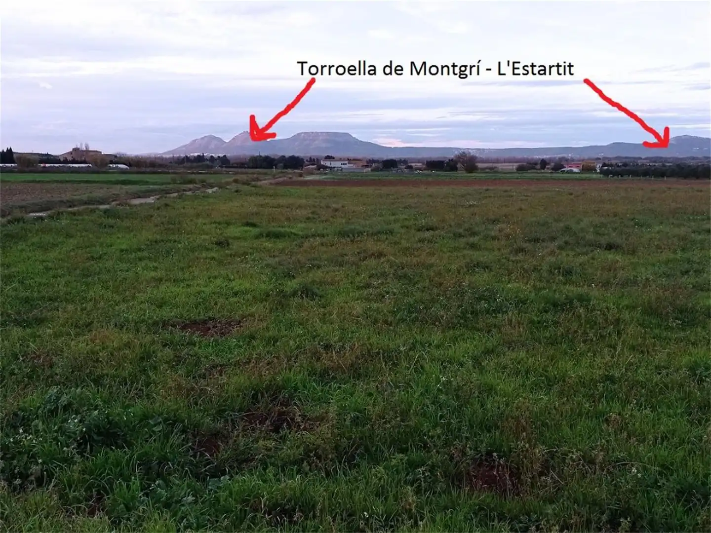 Non-constructible Land for sale in Carrer del Figuerar, 9, Pals Non-constructible Land for sale in Pals