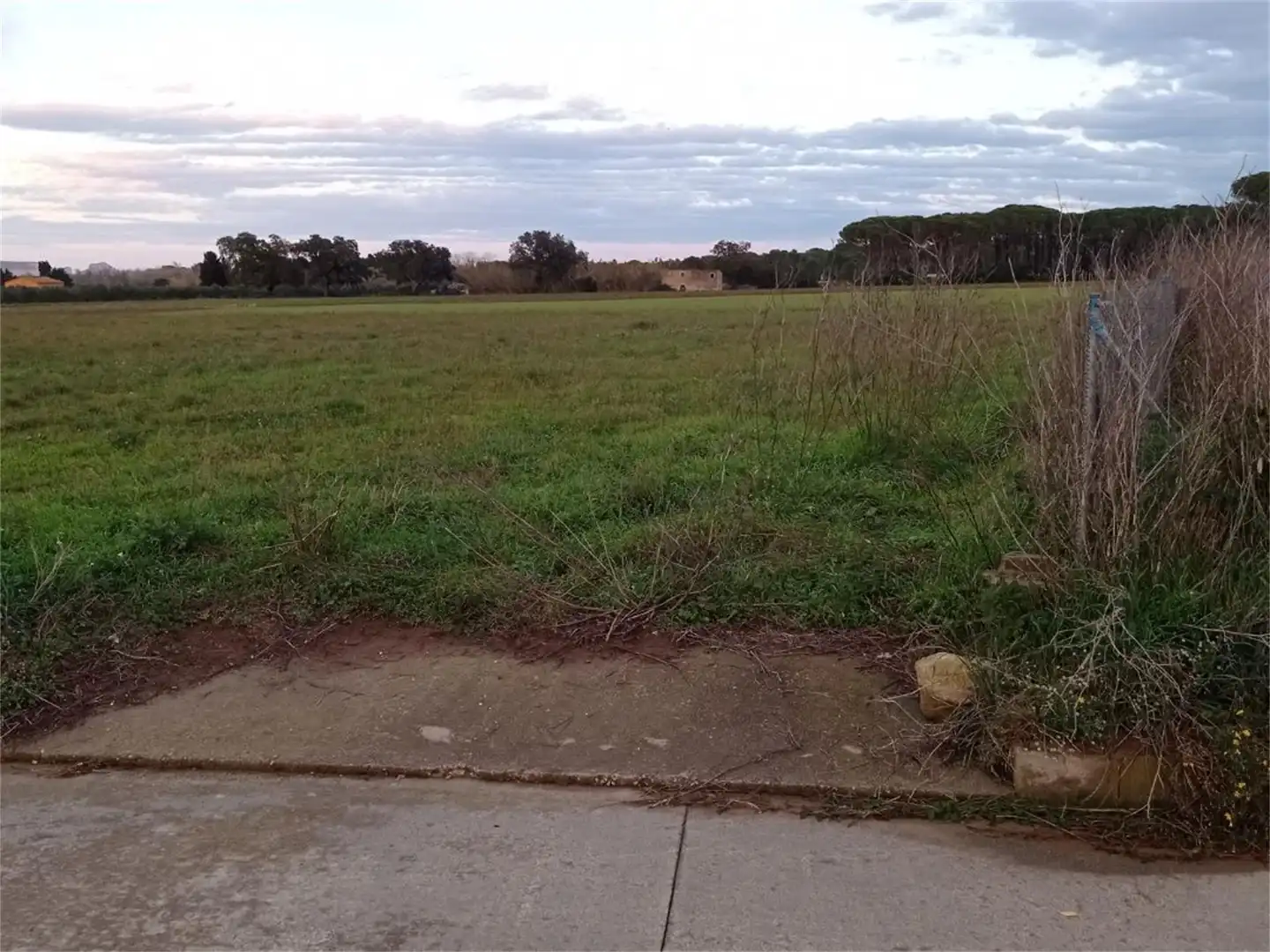 Non-constructible Land for sale in Carrer del Figuerar, 9, Pals Non-constructible Land for sale in Pals