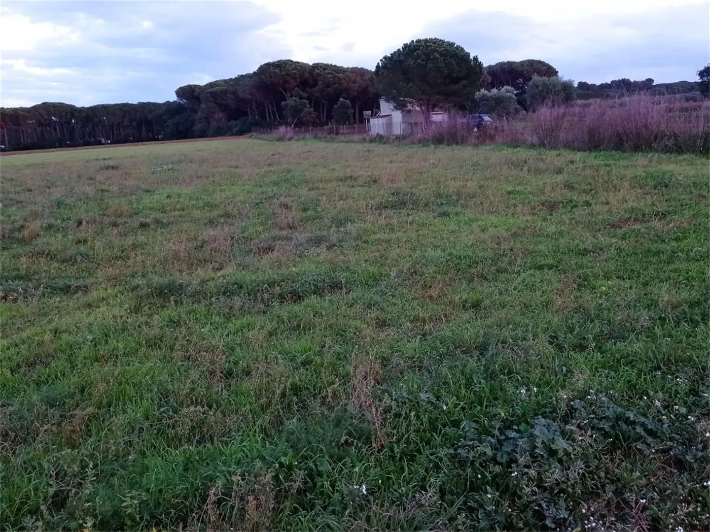 Non-constructible Land for sale in Carrer del Figuerar, 9, Pals Non-constructible Land for sale in Pals