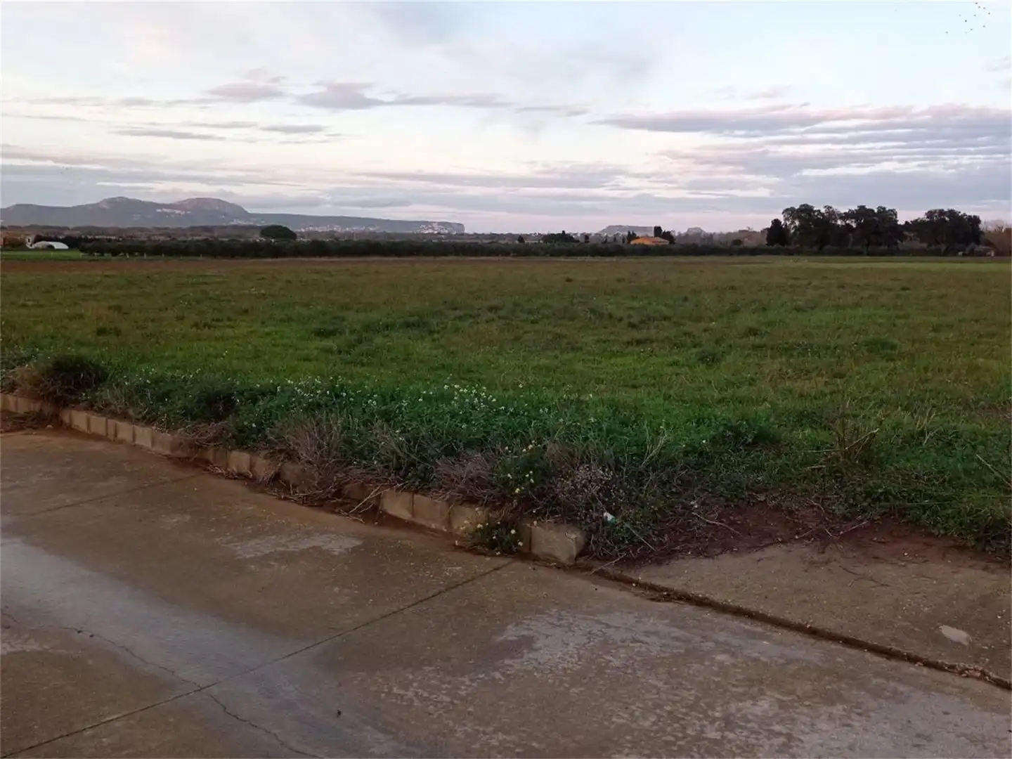 Non-constructible Land for sale in Carrer del Figuerar, 9, Pals Non-constructible Land for sale in Pals