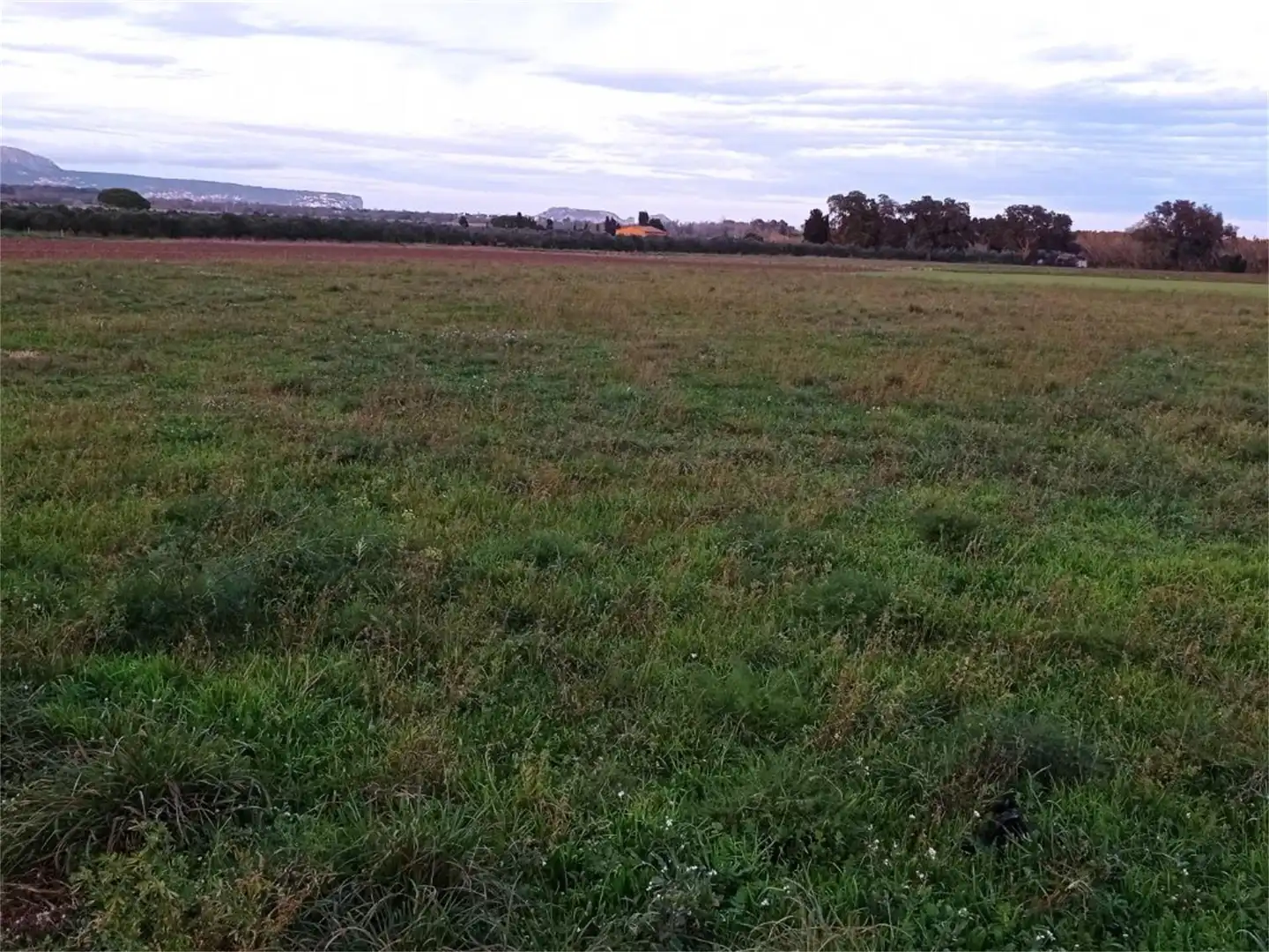 Non-constructible Land for sale in Carrer del Figuerar, 9, Pals Non-constructible Land for sale in Pals