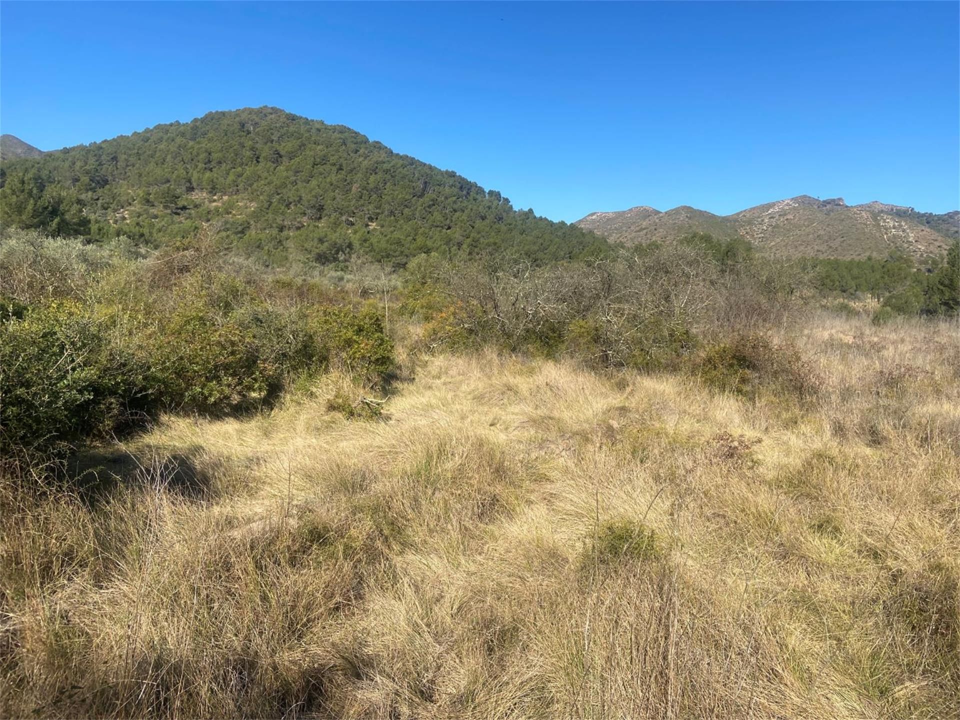 Non-constructible Land for sale in Artana