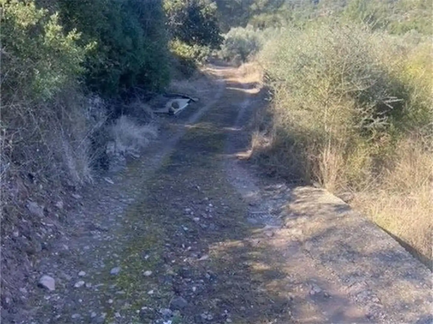 No Urbanizable en venta en Artana