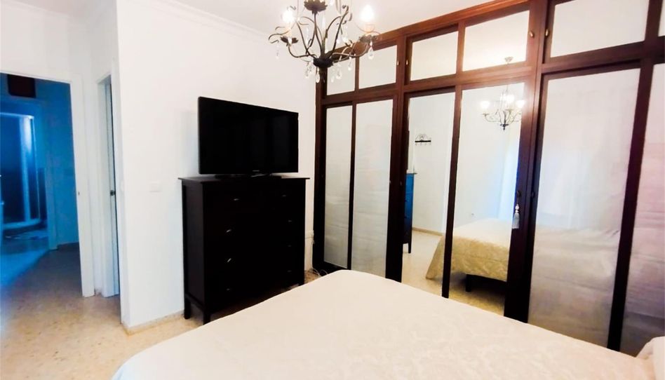 Casa adosada en venta en Calle Amadeo Arias, 1, Écija, Sevilla - imagen 1 Foto 1 de Casa adosada en venta en Calle Amadeo Arias, 1, Écija, Sevilla