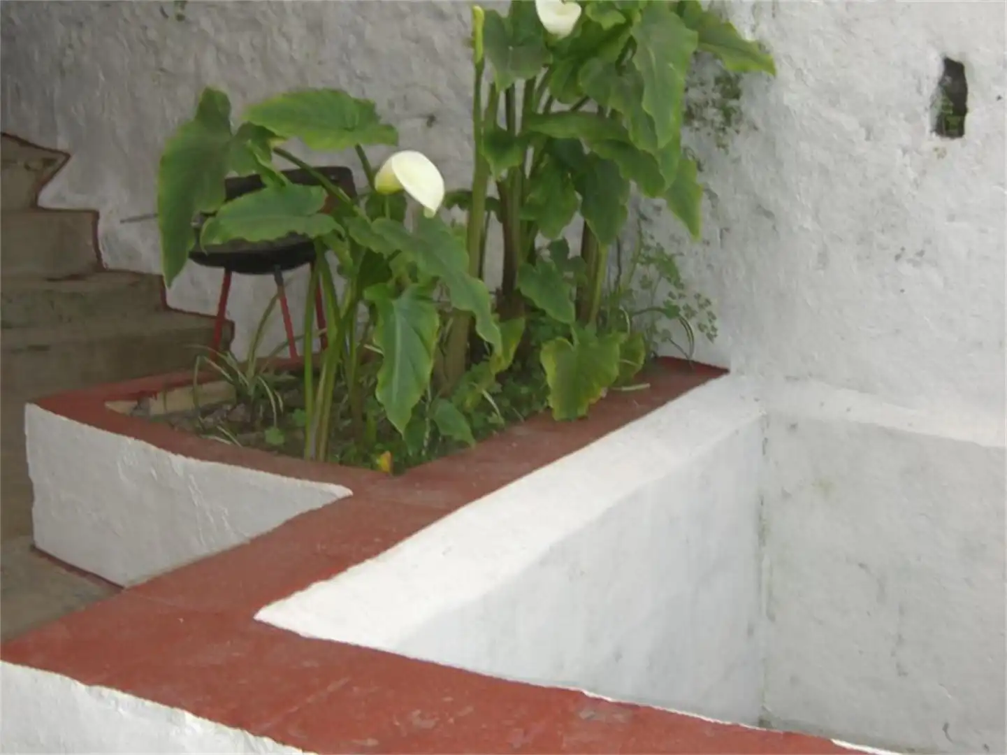 Casa o chalet en venta en Calle la Fuente, 13, Fuenteheridos Jardín de Casa o chalet en venta en Fuenteheridos con Terraza y Balcón