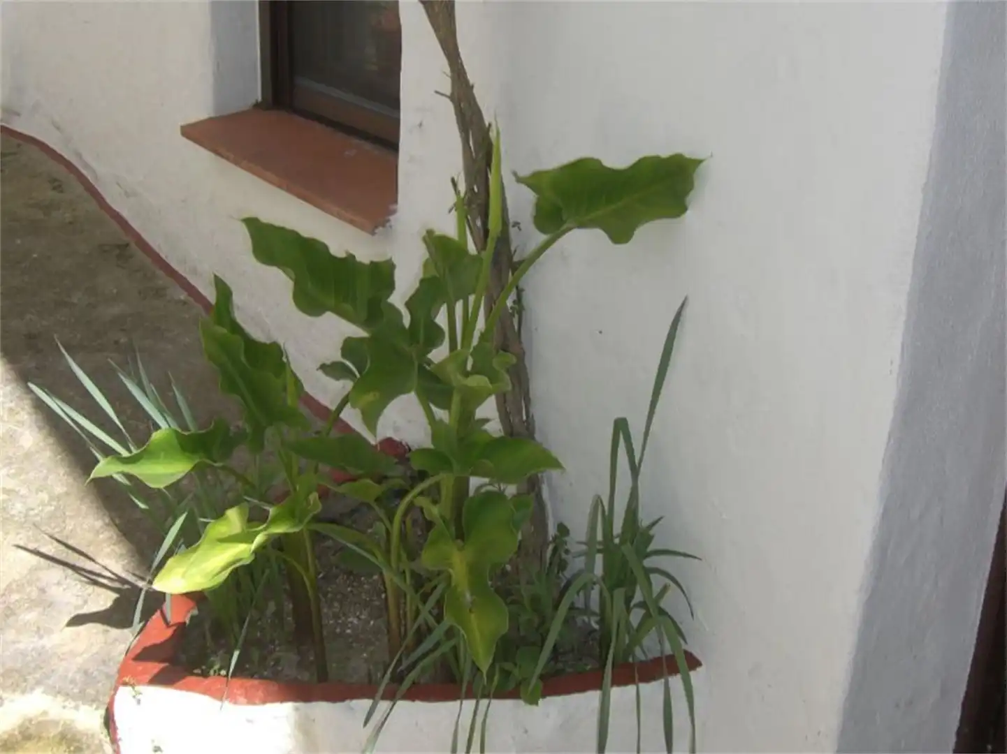 Casa o chalet en venta en Calle la Fuente, 13, Fuenteheridos Jardín de Casa o chalet en venta en Fuenteheridos con Terraza y Balcón