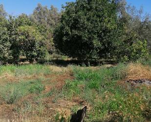 Finca rústica en venda en El Valle