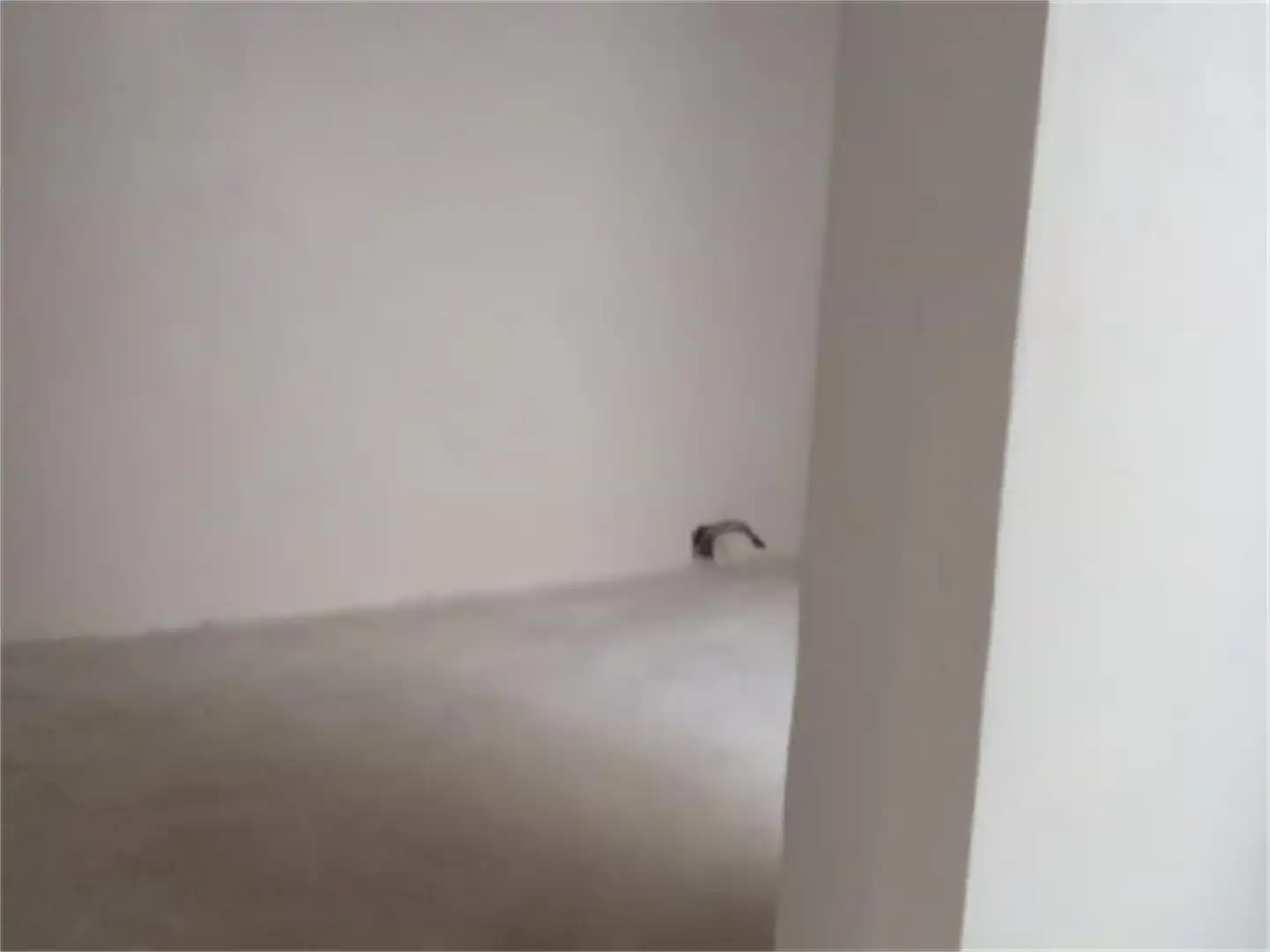 Apartamento en venta en Málaga Capital