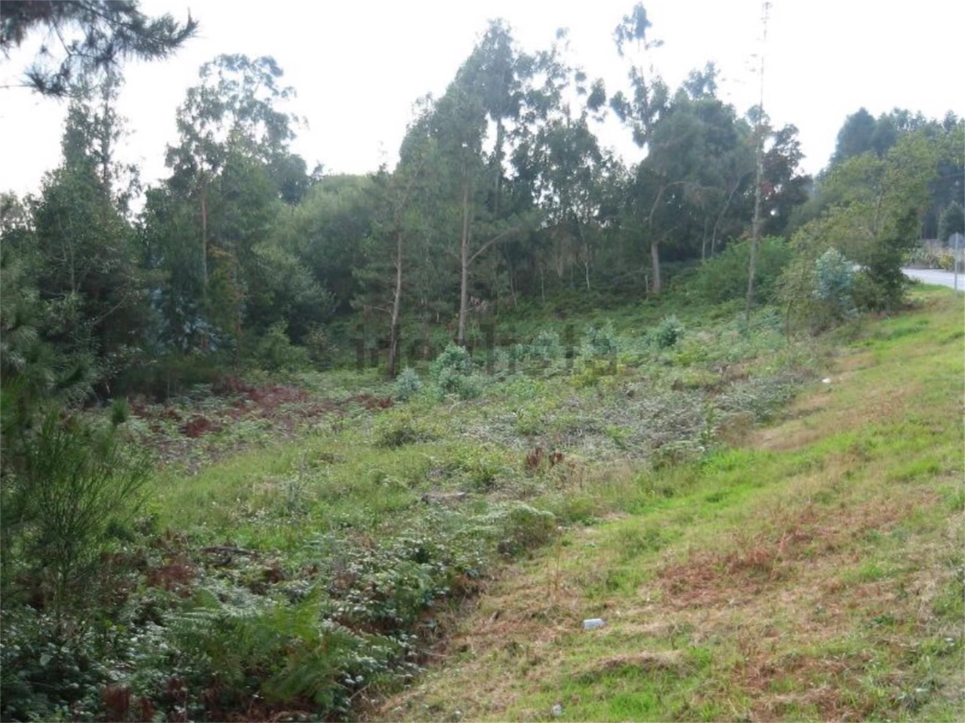 Terreno en venta en Irixoa