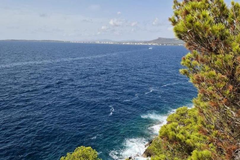Photo 1 of Land for sale in Avinguda del Pinar, 87, Costa dels Pins, Illes Balears