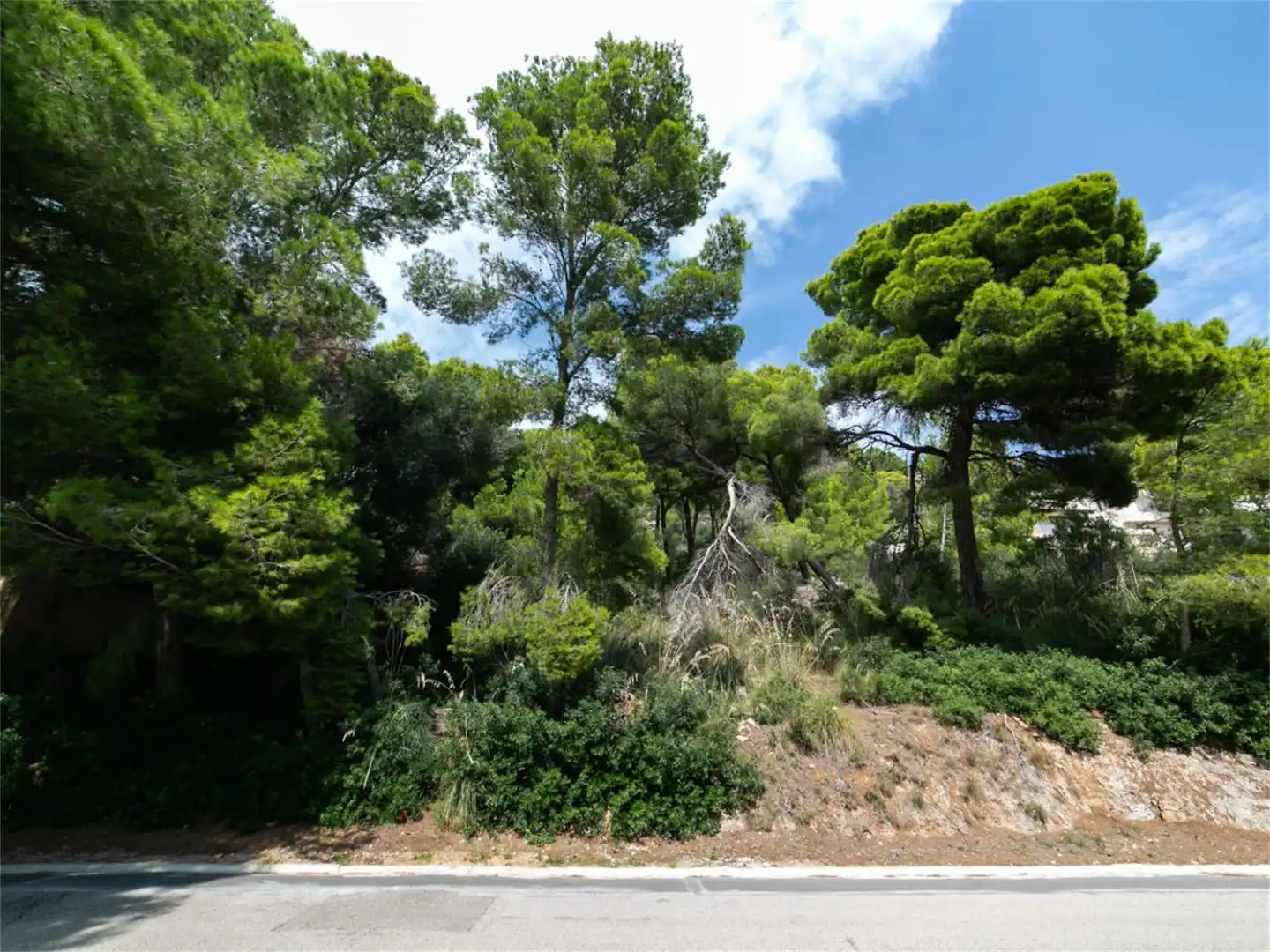 Terreno en venta en Avinguda del Pinar, 87, Costa dels Pins Terreno en venta en Son Servera