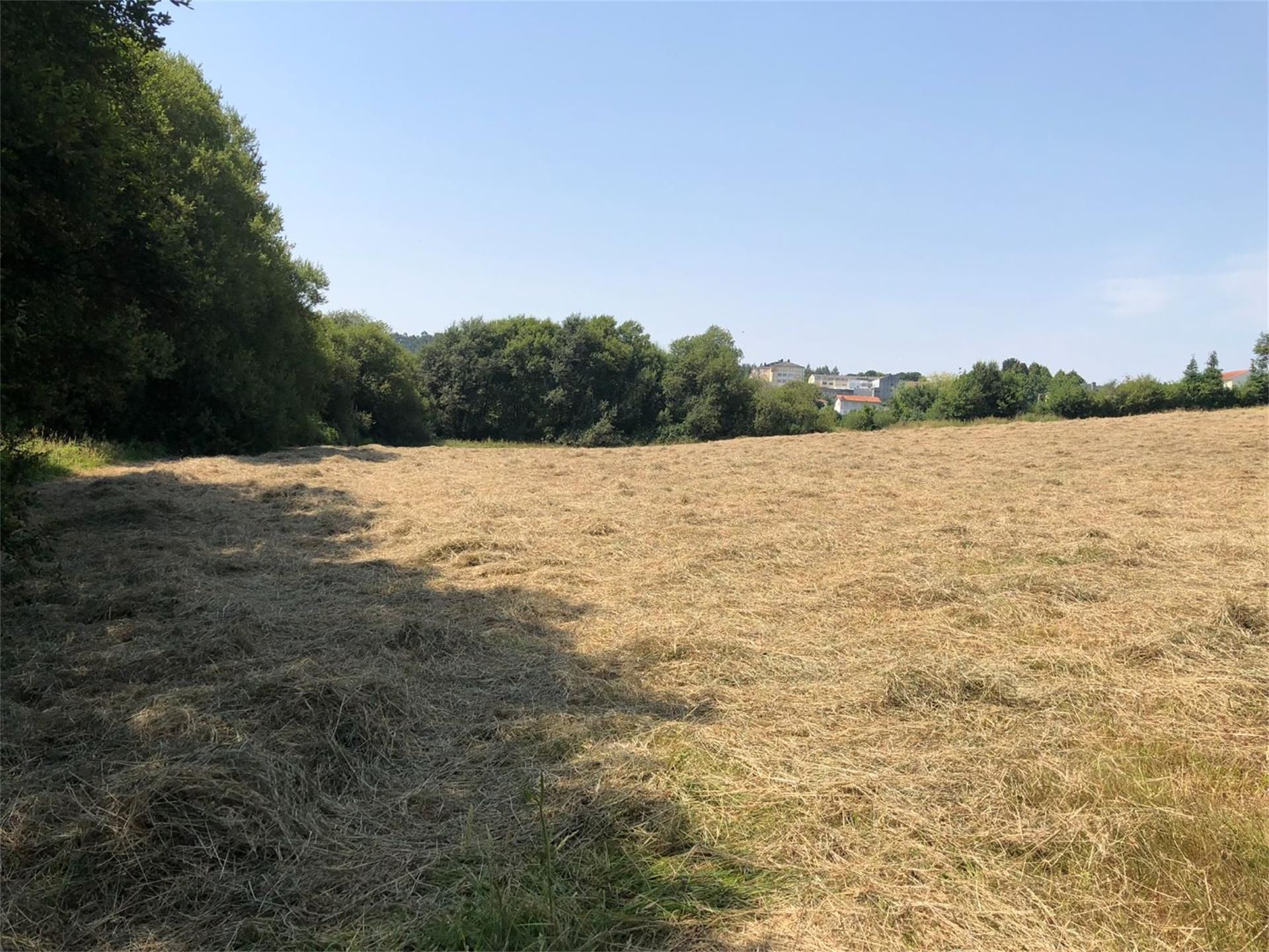 Constructible Land for sale in Oza dos Ríos