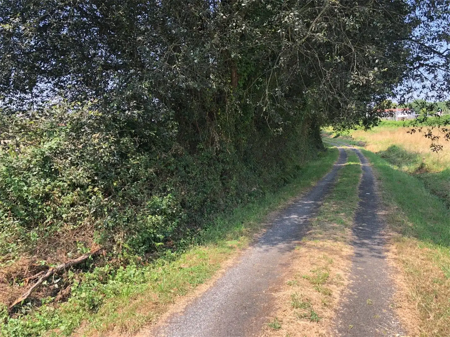 Bebaubares Gelände zum Verkauf in Oza dos Ríos