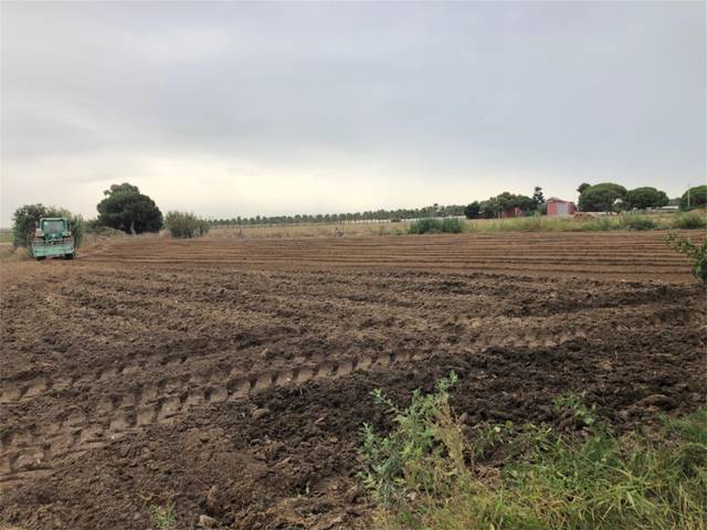 Terreno en Venta en Avenida Sanlúcar de Barrameda, 28 en Playa Cruz del Mar