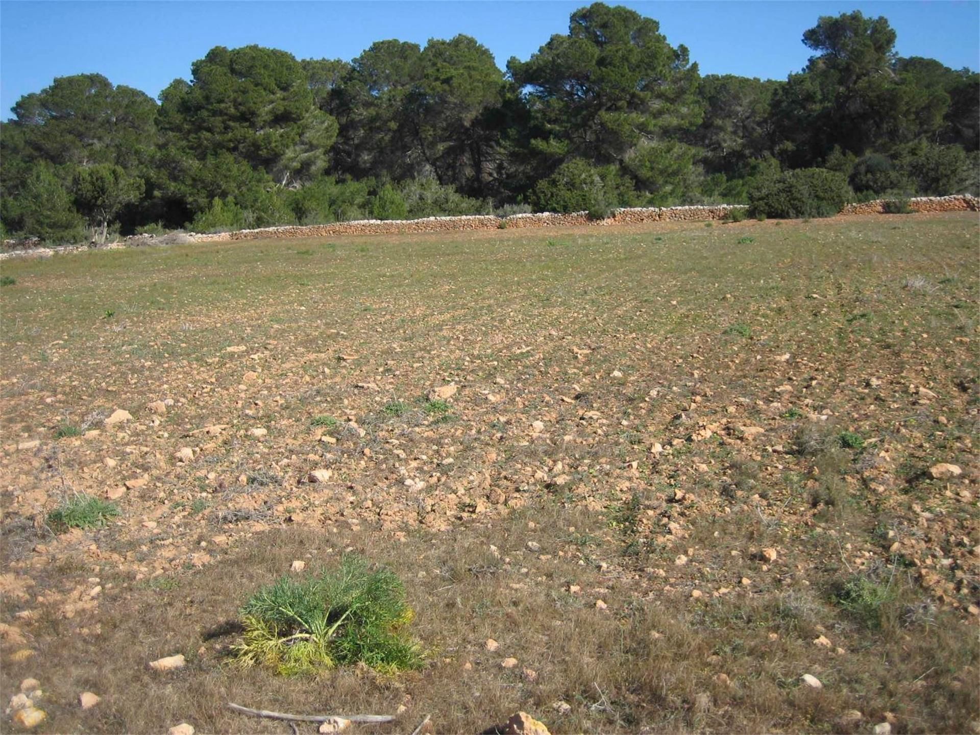 Finca rústica en venda en Formentera