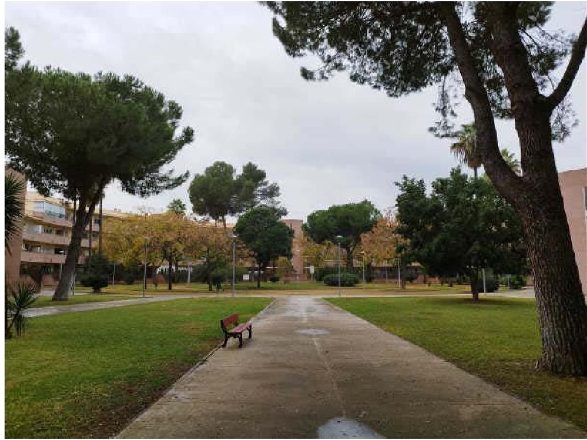 Vista exterior de Pis en venda en Mairena del Aljarafe amb Aire condicionat, Jardí privat i Terrassa