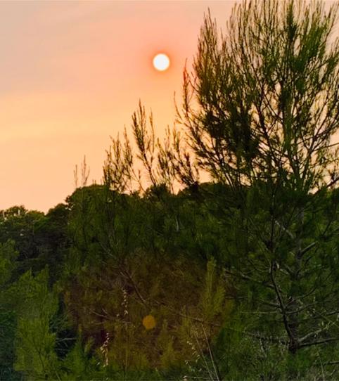 Photo 2 of Country house for sale in Pm-803, 1, Ses Figueretes - Platja d'en Bossa - Cas Serres, Illes Balears